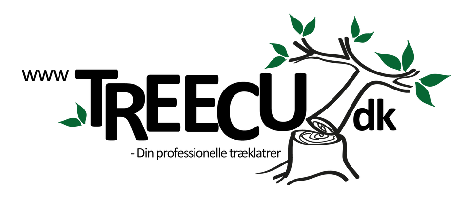 Logoer